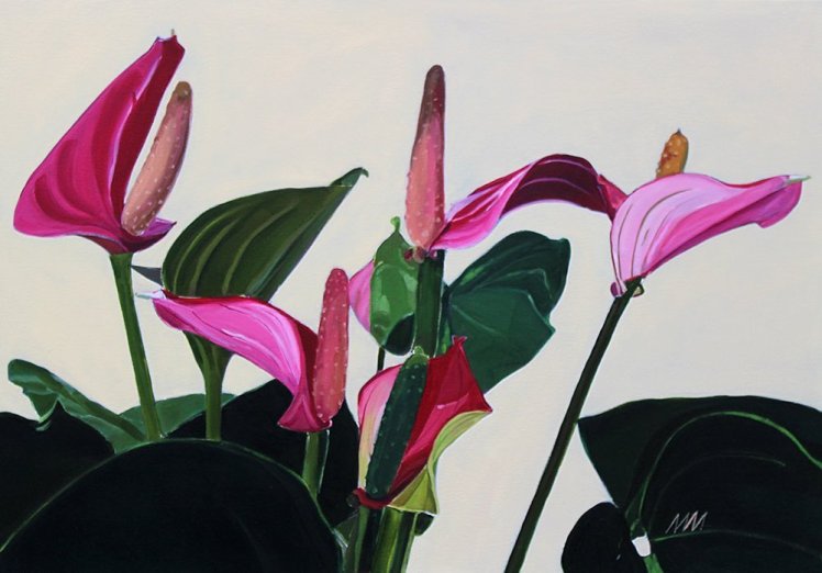 Flying Lessons £795