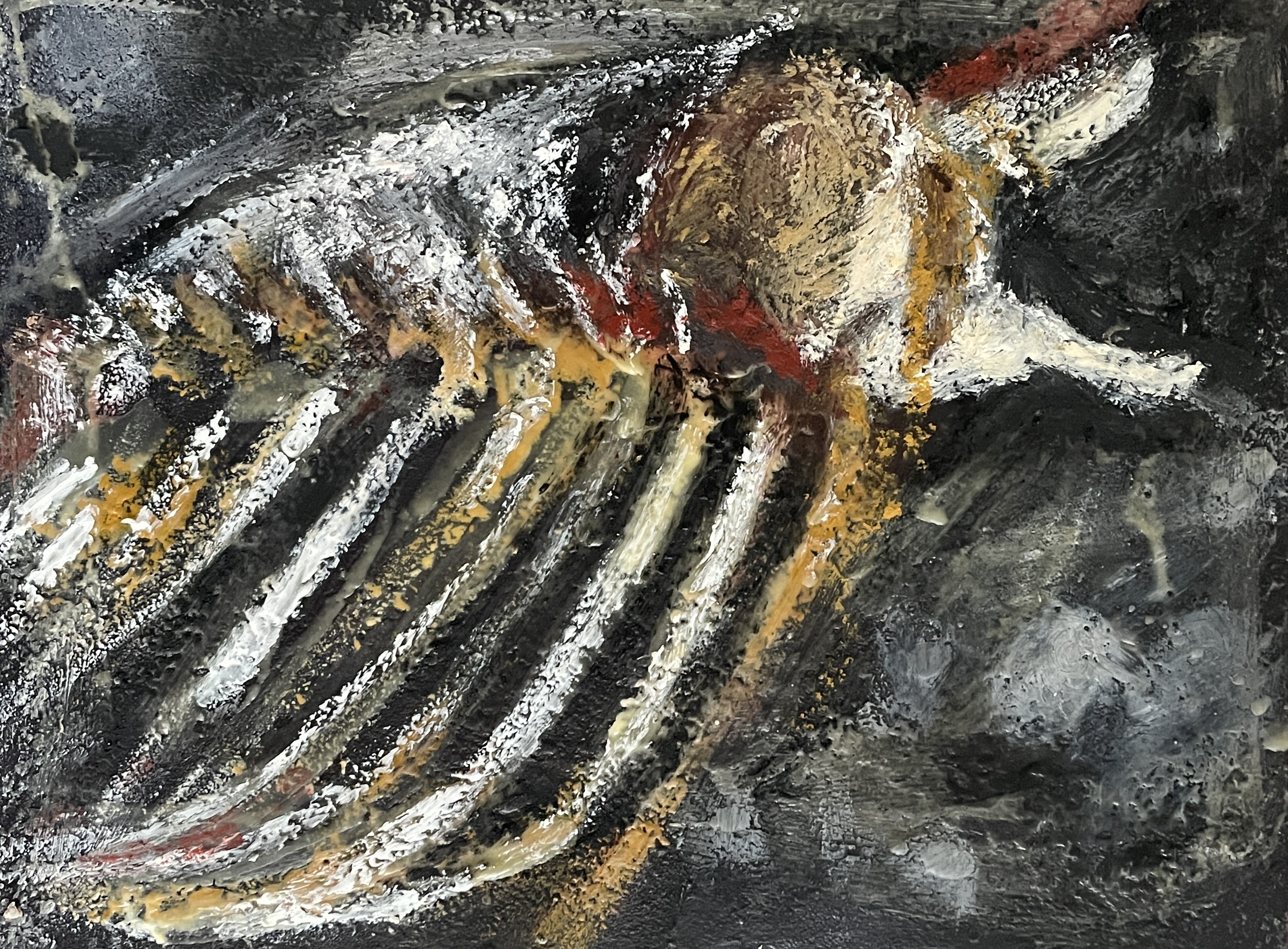 dolphin remains